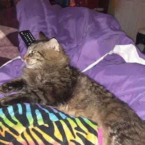 Meet your Posher, Drucilla